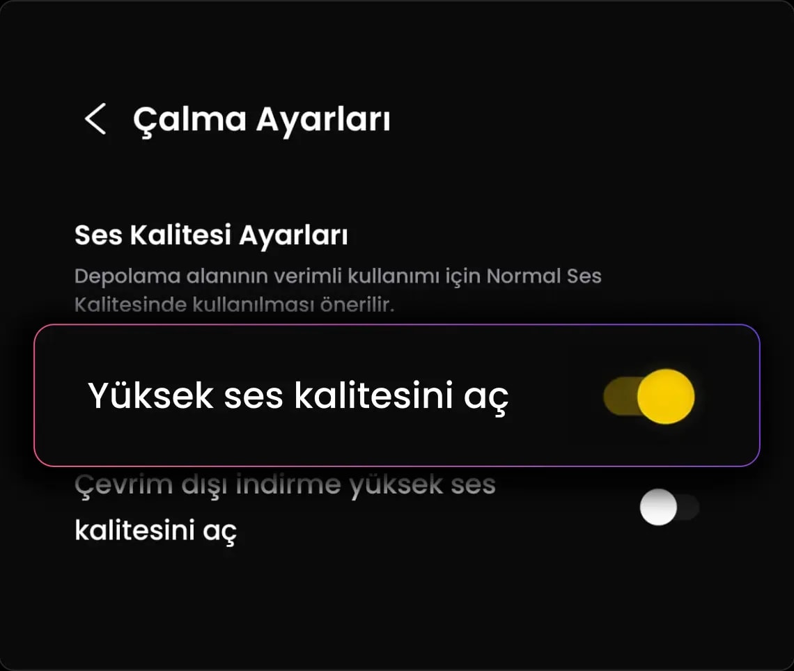 Ses Kalitesi
